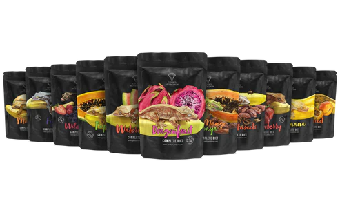 Gecko Nutrition Komplettpaket