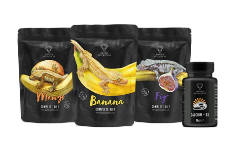 Gecko Nutrition Starter Set