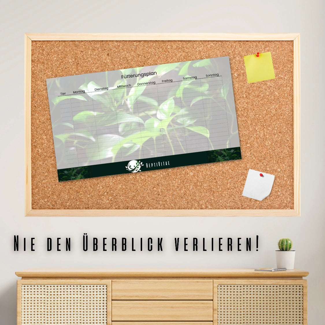 Fütterungsplan