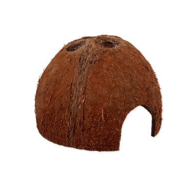 Coco Shell (Kokosnussschale)